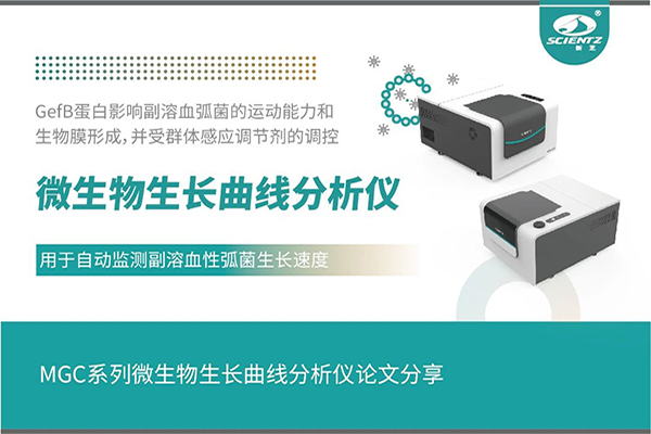 論文分享｜群體感應(yīng)調(diào)控GefB蛋白抑制副溶血性弧菌運(yùn)動及生物膜形成機(jī)制解析