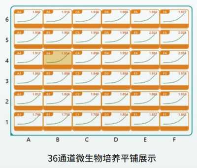 高通量培養(yǎng)